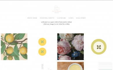 dehmer.nl screenshot