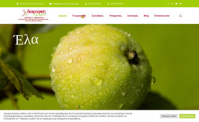 diatrofiki-pyramida.gr screenshot