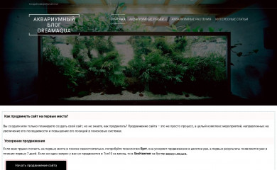 dreamaqua.ru screenshot