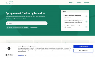 dsn.dk screenshot