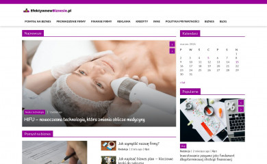 efektywnewbiznesie.pl screenshot