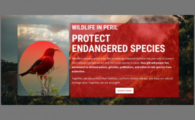 endangered.org screenshot