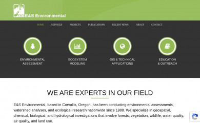 esenvironmental.com screenshot
