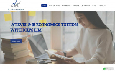 exceleconomics.com screenshot