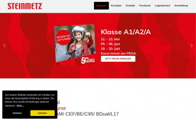 fahrschule-steinmetz.at screenshot