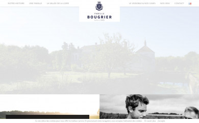famille-bougrier.fr screenshot