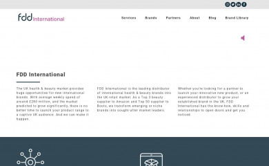 fddinternational.com screenshot