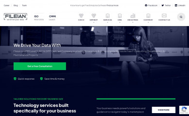 fileian.com screenshot