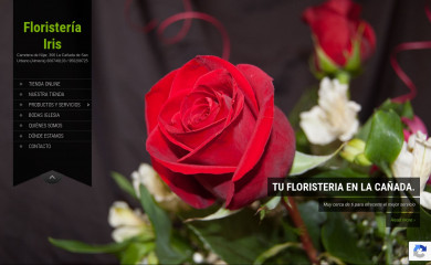 floristeriairisalmeria.com screenshot
