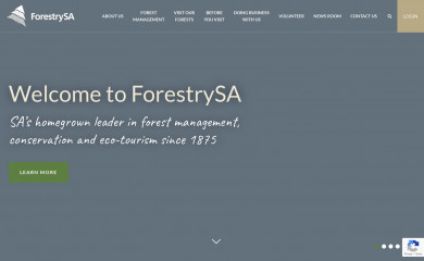 forestrysa.com.au screenshot