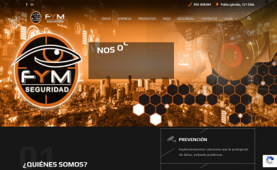 fymseguridad.com screenshot