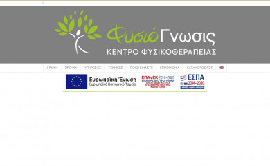 fysiognosis.com screenshot