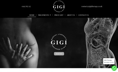 gigitherapy.co.uk screenshot