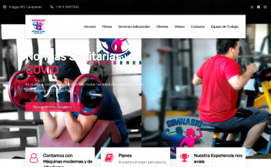 gimnasiopowergym.cl screenshot
