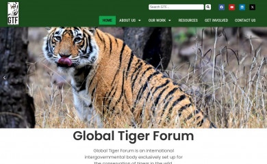 globaltigerforum.org screenshot