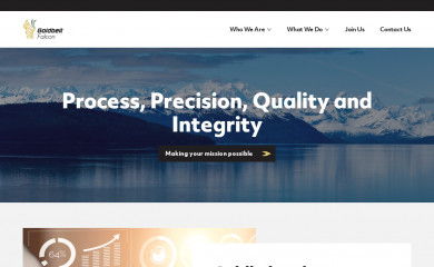 goldbeltfalcon.com screenshot