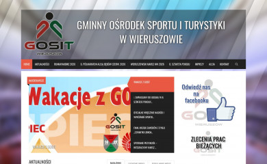 gosit-wieruszow.pl screenshot