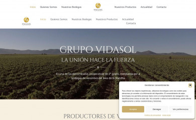 grupovidasol.es screenshot