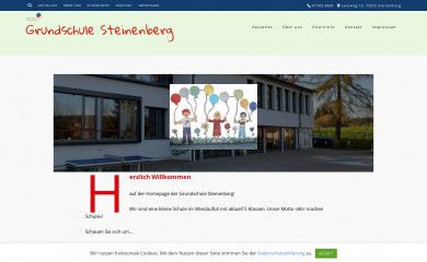 gssteinenberg.schule screenshot