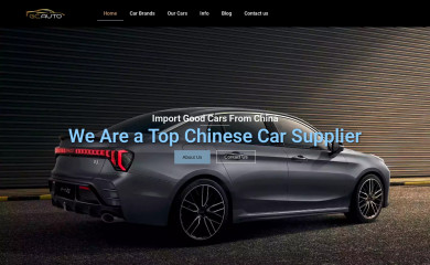 guangcaiauto.com screenshot