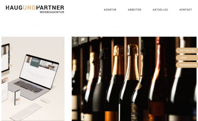 haugundpartner.de screenshot