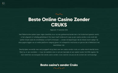 hollandschezeilvloot.nl screenshot