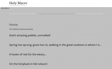 holymacro.ca screenshot