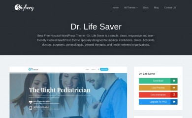https://bizbergthemes.com/downloads/dr-life-saver-lite/ screenshot