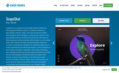 https://catchthemes.com/themes/scapeshot/ screenshot