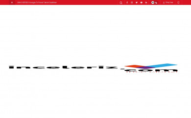 inceleriz.com screenshot