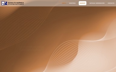 industrialnano.cl screenshot