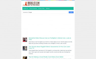 irkincat.com screenshot