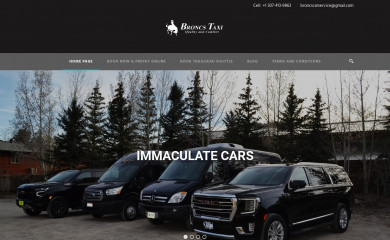 jackson-hole-taxi.com screenshot