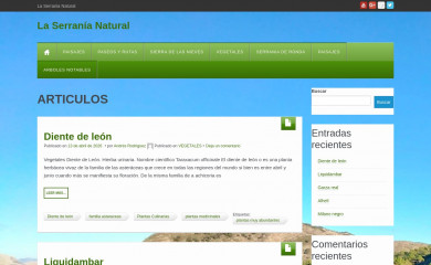 laserranianatural.com screenshot