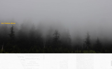 lizzwestman.com screenshot