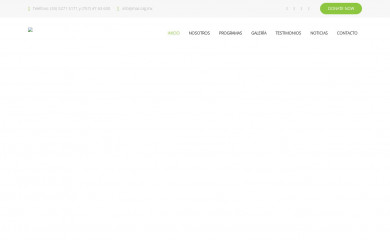 mas.org.mx screenshot