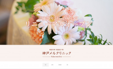 mer-clinic.com screenshot