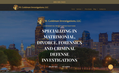 mgoldmaninvestigations.com screenshot