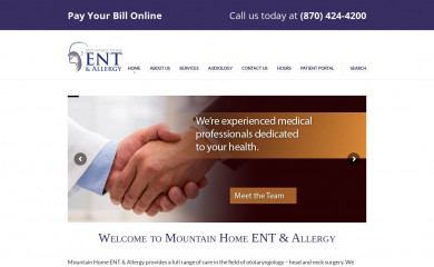 mhentallergy.com screenshot