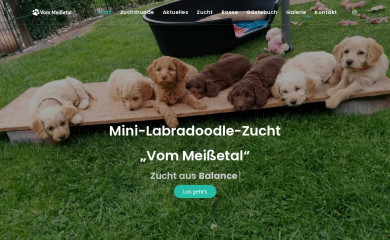 mini-labradoodle.de screenshot