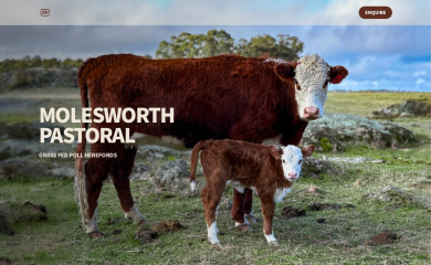 molesworthpastoral.com.au screenshot