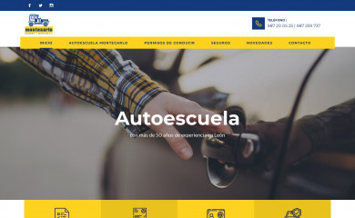 montecarloacademiayservicios.es screenshot