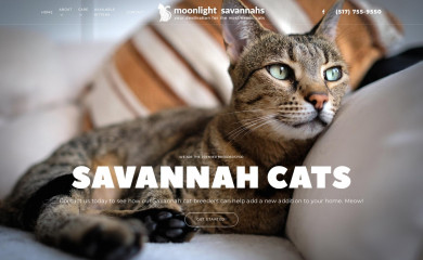 moonlightsavannahs.com screenshot
