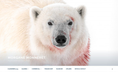 mopourmo.fr screenshot