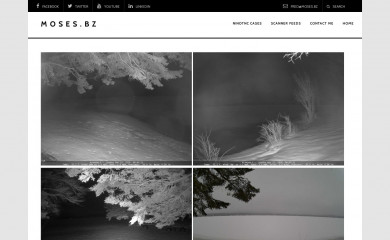 moses.bz screenshot