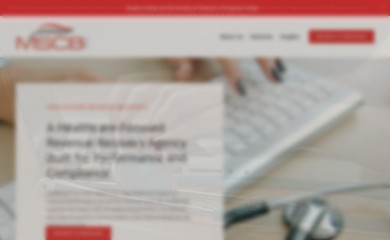 mscbinc.com screenshot
