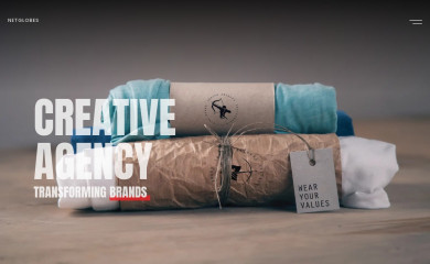 netglobes.com screenshot