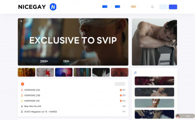 nicegay.org screenshot