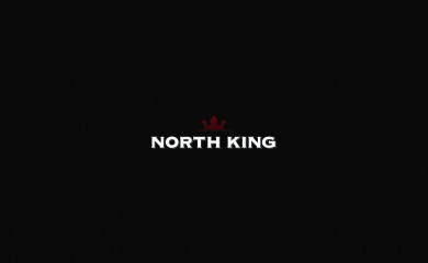 northking.pl screenshot