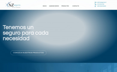 nzseguros.cl screenshot
